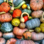 Squash