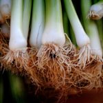 zero waste tips