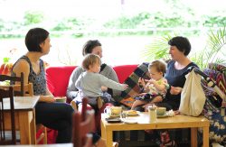Better Food Cafés - St Werburghs