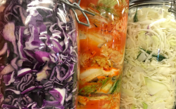 fermented food in jars
