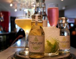 TreeVitalise mocktails, treevitalise, better food, bristol, local, shop, organic, alternative, drink, healthy, healthy living