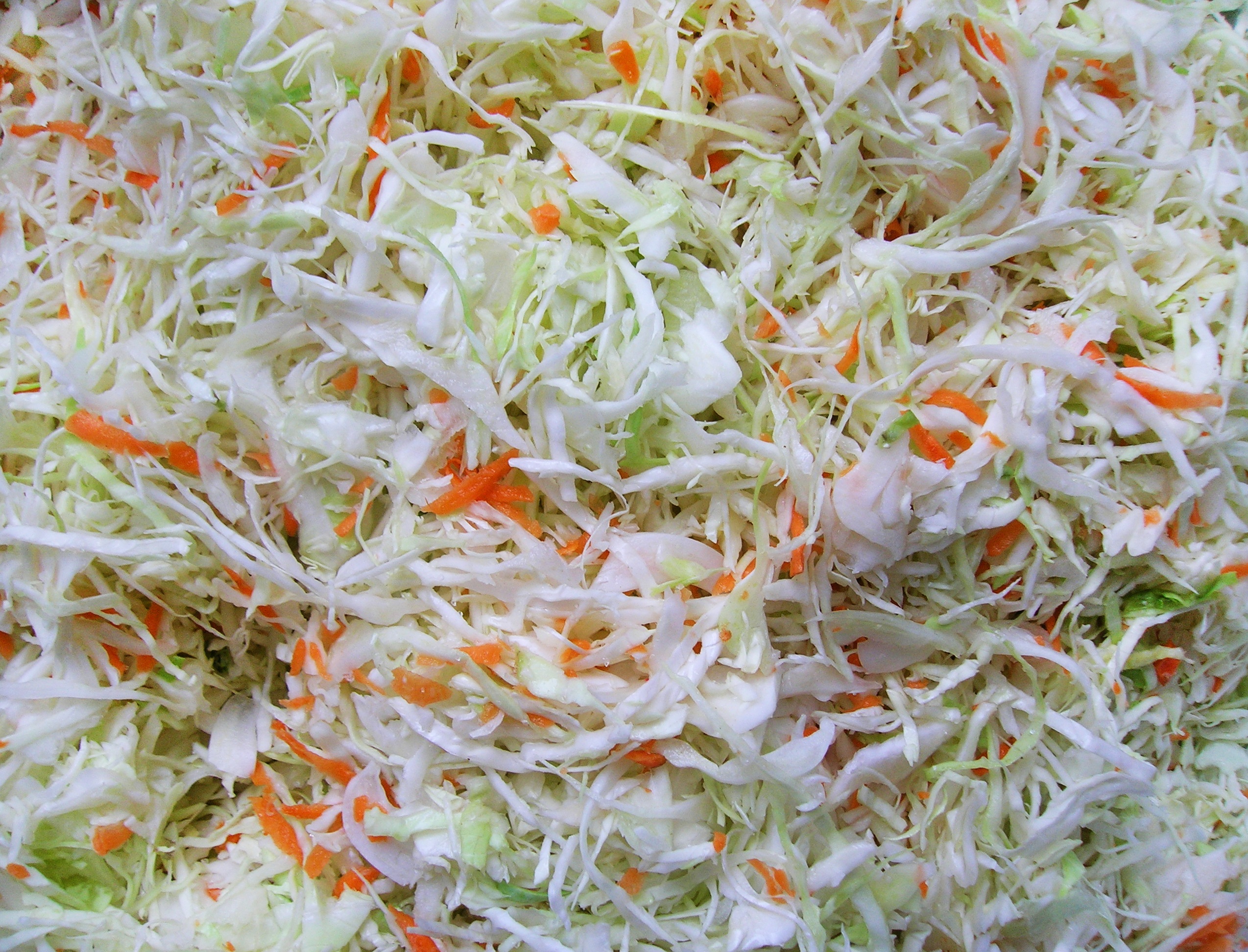 Fermented food and the truth about gut bacteria