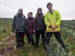 Four staff members at the community farm