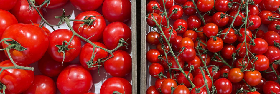 Why Shop Local and Seasonal?